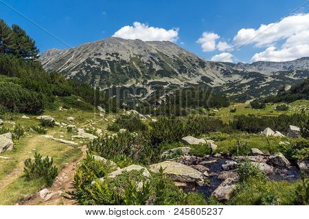 Landscape With Banderitsa River Valley, Pirin Mountain, Bulgaria