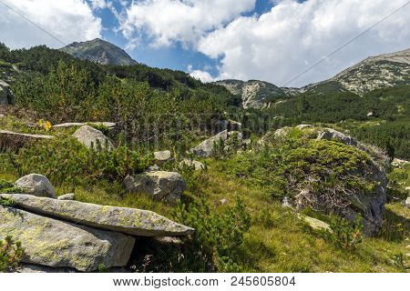 Landscape With Banderitsa River Valley, Pirin Mountain, Bulgaria