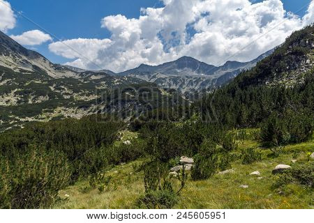 Landscape With Banderitsa River Valley, Pirin Mountain, Bulgaria