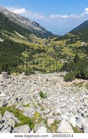 Landscape With Banderitsa River Valley, Pirin Mountain, Bulgaria