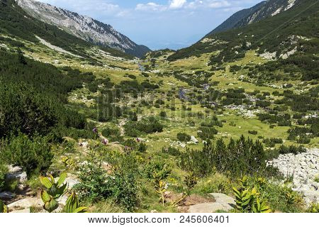Landscape With Banderitsa River Valley, Pirin Mountain, Bulgaria