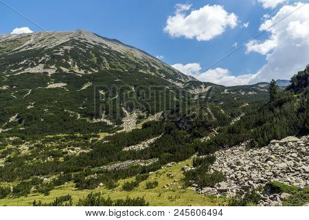 Landscape With Banderitsa River Valley, Pirin Mountain, Bulgaria