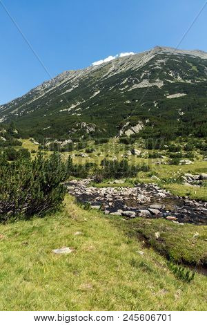 Landscape With Banderitsa River Valley, Pirin Mountain, Bulgaria