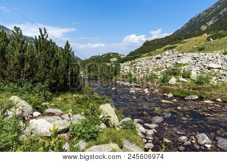 Landscape With Banderitsa River Valley, Pirin Mountain, Bulgaria