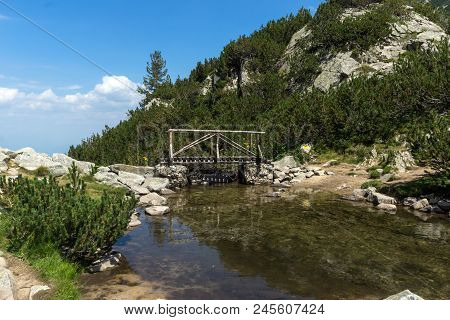 Landscape With Wooden Bridge Over Banderitsa River, Pirin Mountain, Bulgaria