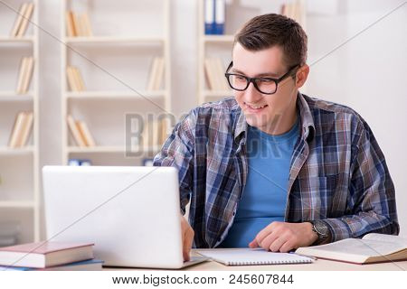 Young student studying over internet in telelearning concept