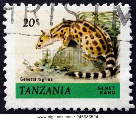 Tanzania - Circa 1980: A Stamp Printed In Tanzania Shows Cape Genet, Genetta Tigrina, Animal, Circa 