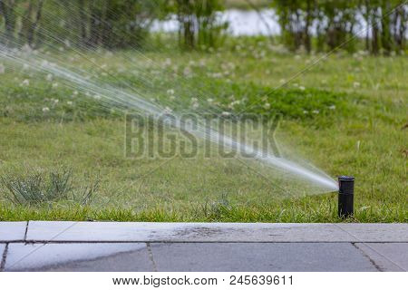 Automatic Sprinkler System Watering The Lawn On A Background Of Green Grass, Close-up