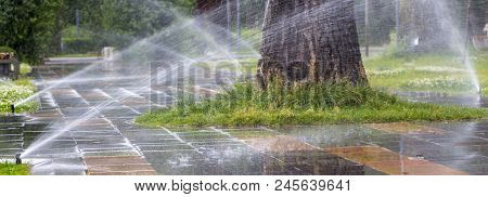 Automatic Sprinkler System Watering The Lawn On A Background Of Green Grass, Close-up