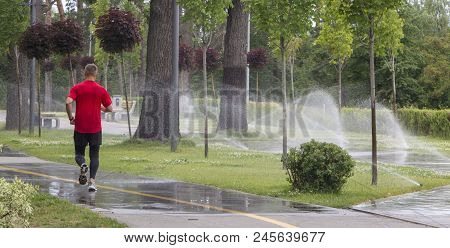 Automatic Sprinkler System Watering The Lawn On A Background Of Green Grass, Close-up