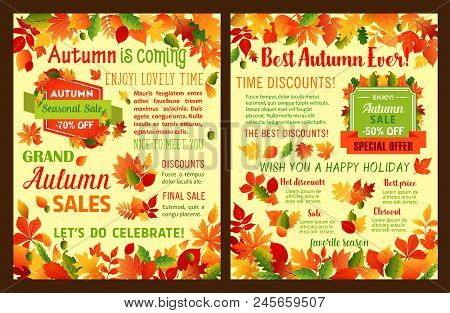 Autumn Sale Leaflet Or Fall Is Coming Poster Of Maple Leaf And Oak Acorn For Seasonal Shopping Disco