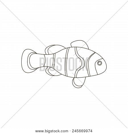 Amphiprion Clown Fish Coloring Pages On The White Background. Vector Illustration