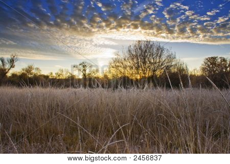 Nurmettuneeksi Sunrise