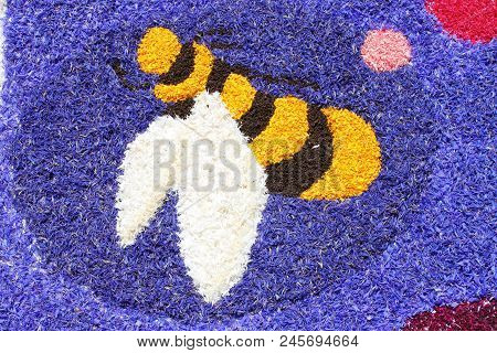 Spello, Italy - June 7: Floral Carpet On June 7, 2015 In Spello, Italy. This Event Takes Place Every