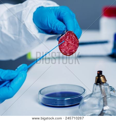 Quality Control Expert Inspecting At Meat Products  In The Laboratory