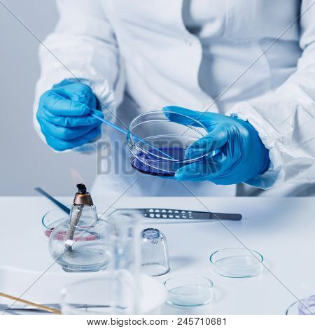Quality Control Expert Inspecting At Meat Products  In The Laboratory