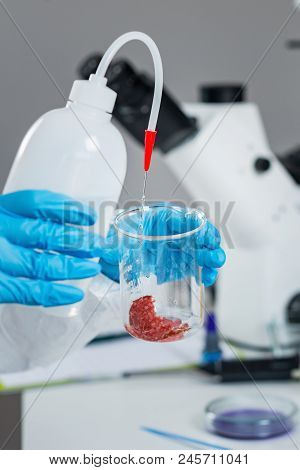 Quality Control Expert Inspecting At Meat Products  In The Laboratory