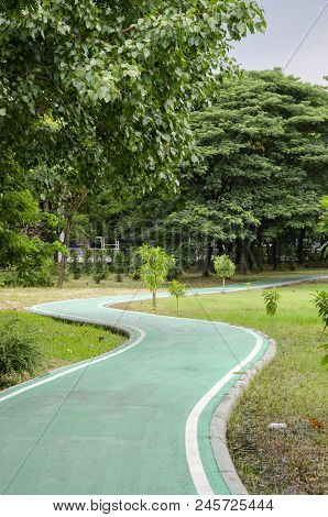 green buke lane in the nature park