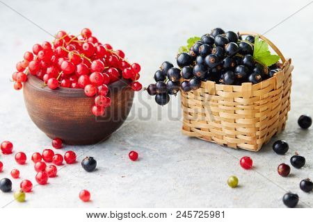 Freshly picked berries. Redcurrants in a bowl and beside a small wicker basket of fresh blackcurrants. 