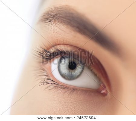 Beautiful human eye close-up. Young Woman Blue one eye macro shoot. Macro Closeup eye looking up, isolated on white background