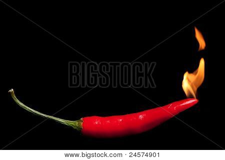 Hot Chili