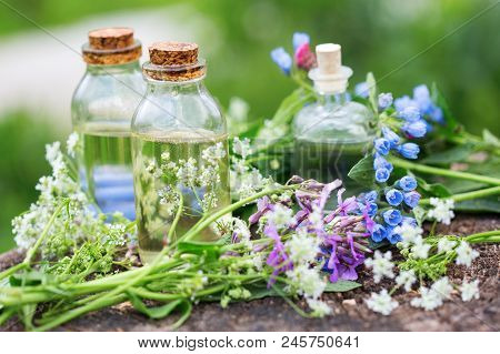 Essential Aroma Oil  In Bottles On Wooden Background Outdoor. Selective Focus. Natural Ogranic Produ