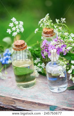 Essential Aroma Oil  In Bottles On Wooden Background Outdoor. Selective Focus. Natural Ogranic Produ