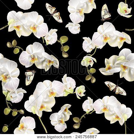 Vector Vertical Seamless Pattern With White Orchid Flowers And Butterflies On Black. Floral Backgrou