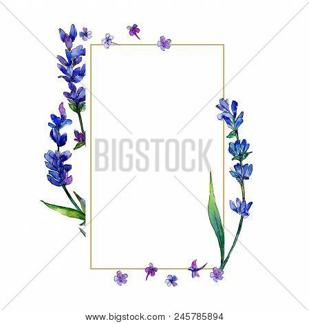 Violet Lavender. Floral Botanical Flower. Frame Border Ornament Square. Aquarelle Wildflower For Bac