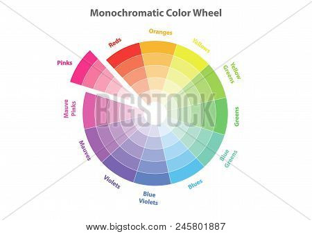 Monochromatic Color Wheel, Color Scheme Theory, Pinks Color In Evidence, Vector Isolated Or White Ba