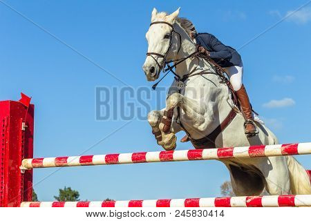 Show Jumping Horse Rider Closeup Action
