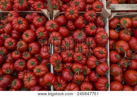 Oxheart Tomatoes In Boxes On A Market