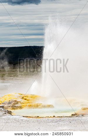 Geyser Erupts In Hydrothermal Systems Of Yellowstone National Park, Wyoming, Montana, Idaho, Usa