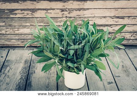 Salvia Officinalis. Sage Leaves On Old Wooden Table. Garden Sage. Rustic Enameled Mug. Retro Magazin