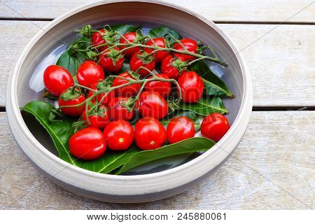 Grap Of Tomatoes In Red Color And Copy Space