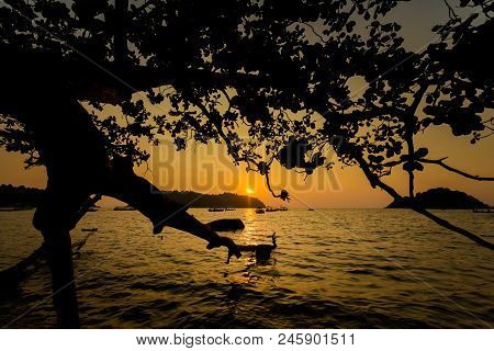 Teluk Nipah Coral Beach Pangkor
