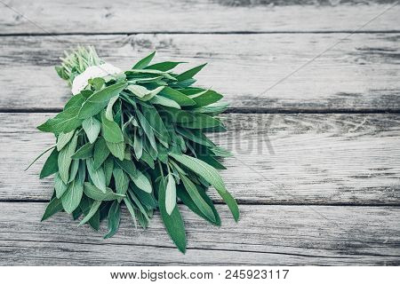 Salvia Officinalis. Sage Leaves On Old Wooden Table. Garden Sage. Handmade Lace. Retro Magazine Pict