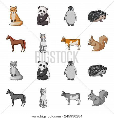 Horse, Cow, Cat, Squirrel And Other Kinds Of Animals.animals Set Collection Icons In Cartoon, Monoch