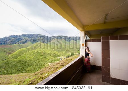 Cameron Highlands Bharat Tea Plantation