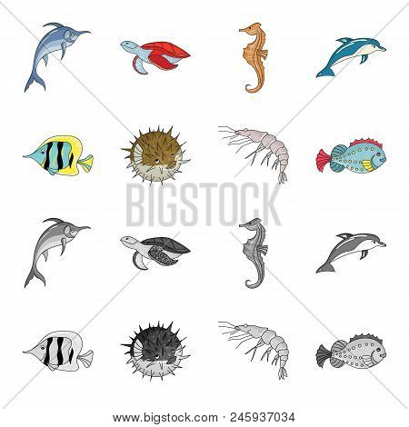 Shrimp, Fish, Hedgehog And Other Species.sea Animals Set Collection Icons In Cartoon, Monochrome Sty