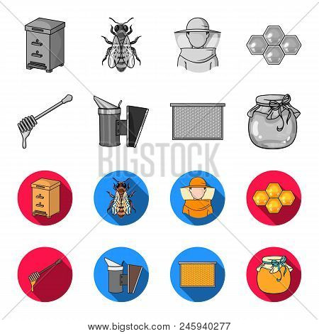A Frame With Honeycombs, A Ladle Of Honey, A Fumigator From Bees, A Jar Of Honey.apiary Set Collecti
