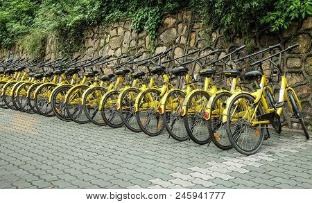 Wuhan, Hubei China - May 20, 2018: Row Of Yellow Bicycles ,ofo Free Sloating Bicycle Rental In China