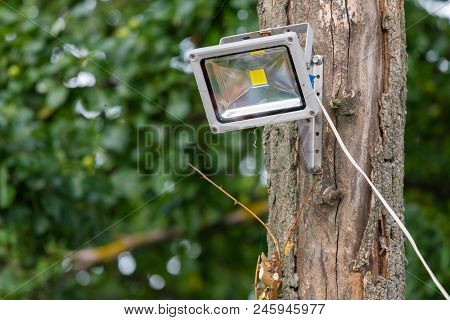 Gray Diod Spotlight On Tree. Lighting Equipment.