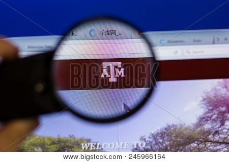 Ryazan, Russia - June 16, 2018: Homepage Of Tamu Website On The Display Of Pc, Url - Tamu.edu