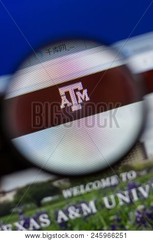 Ryazan, Russia - June 16, 2018: Homepage Of Tamu Website On The Display Of Pc, Url - Tamu.edu