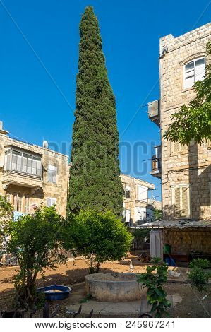 Garden Of An Old Buildings With Ducks, In Hadar Hacarmel Neighborhood, Haifa, Israel