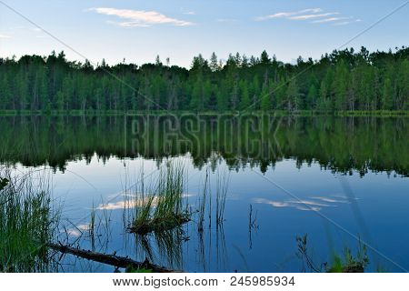 Evening At Remote Lake In Forest In Near Bemidji In Northern Minnesota