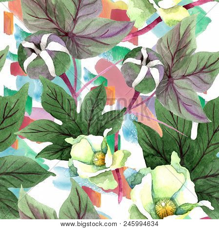 Soft Cotton. Floral Botanical Flower. Seamless Background Pattern. Fabric Wallpaper Print Texture. A