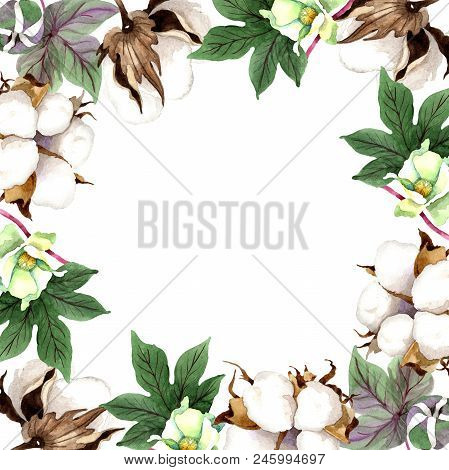 Soft Cotton. Floral Botanical Frame Border Ornament Square. Aquarelle Wildflower For Background, Tex