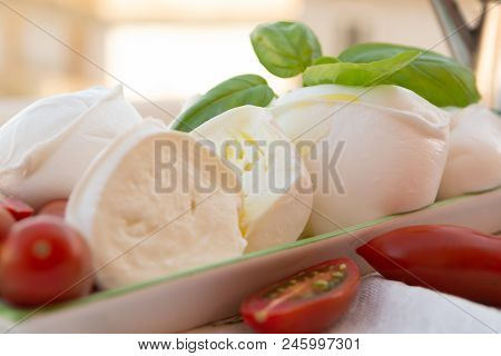 Fresh Soft Italian White Cheese Mozzarella Buffalo, Original From Campania, Paestrum And Foggia Regi